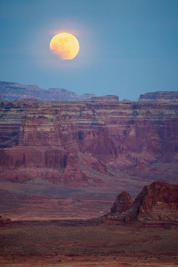 View of a large glowing moon rising above the layered red rock formations and deep canyons under a soft blue twilight sky Lake Powell Arizona United States. View of a large glowing moon rising above the layered red rock formations and deep canyons under a soft blue twilight sky Lake Powell Arizona United States.