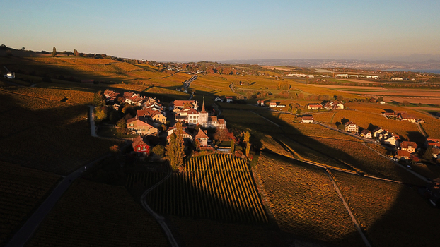 Aerial view of the village of Fechy Dessus surrounded by golden autumn vineyards and rolling hills under a warm sunset light Fechy Vaud Switzerland.