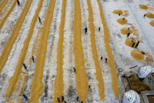 Brahmanbaria Chittagong Division Bangladesh 15 August 2021 Aerial view of people drying harvested grain in long rows on a concrete surface with traditional storage structures.