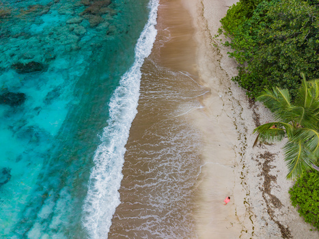 Aerial view of the shoreline where turquoise waters meet the sandy beach fringed by lush greenery Montagne Jasmin Mahe Island Seychelles. Aerial view of the shoreline where turquoise waters meet the sandy beach fringed by lush greenery Montagne Jasmin Mahe Island Seychelles.