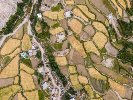 Aerial view of terraced agricultural fields and small rural houses nestled along a winding stream in the mountainous landscape of Ladakh Division Ladakh India. Aerial view of terraced agricultural fields and small rural houses nestled along a winding stream in the mountainous landscape of Ladakh Division Ladakh India.