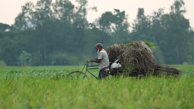 View of a man pushing a bicycle with hay in Bogura Bangladesh. View of a man pushing a bicycle with hay in Bogura Bangladesh.