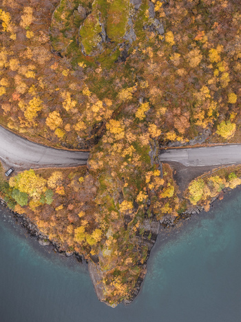 Aerial view of a winding road cutting through a rocky headland covered in vibrant autumn foliage surrounded by the deep blue waters of the fjord in Senja Troms Norway.