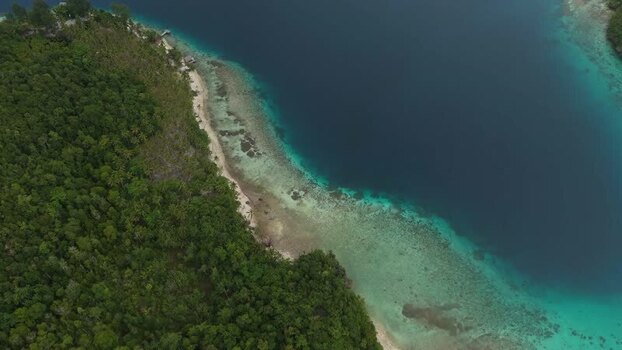 Aerial view of Fam Island coastline in Raja Ampat Indonesia.