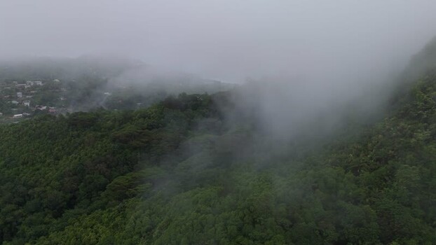 Aerial view of lush forested mountains in Mahe Seychelles.