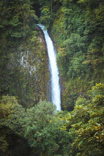 View of a cascading waterfall surrounded by lush tropical rainforest and dense green foliage in Costa Rica.