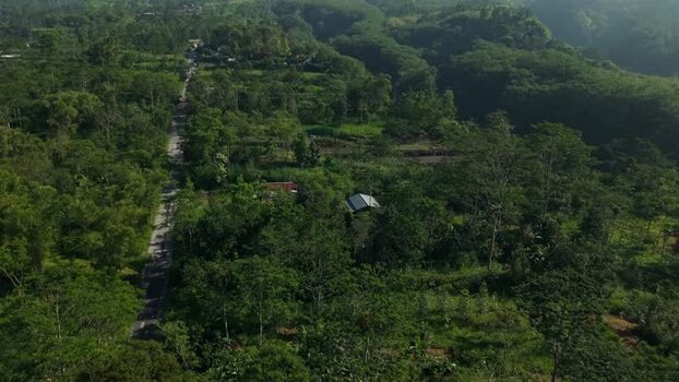 Aerial view of lush forest and road in Indonesia.