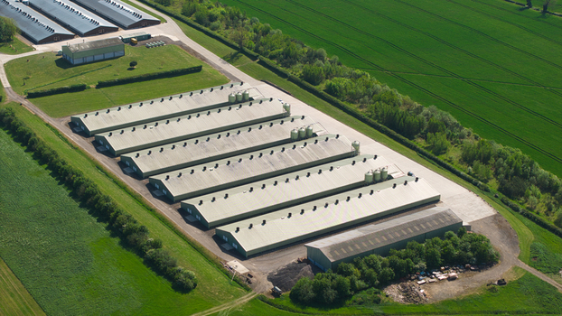 Aerial view of large industrial agricultural sheds and silos surrounded by lush green fields and trees in Kettering England United Kingdom. Aerial view of large industrial agricultural sheds and silos surrounded by lush green fields and trees in Kettering England United Kingdom.