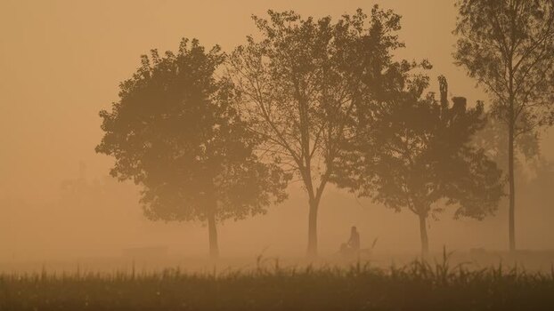 View of silhouetted trees and a person in thick morning fog Bangladesh.