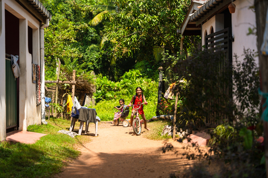 Sri Lanka 31 January 2026 View of two young girls riding bicycles on a dirt path between houses surrounded by lush tropical greenery.