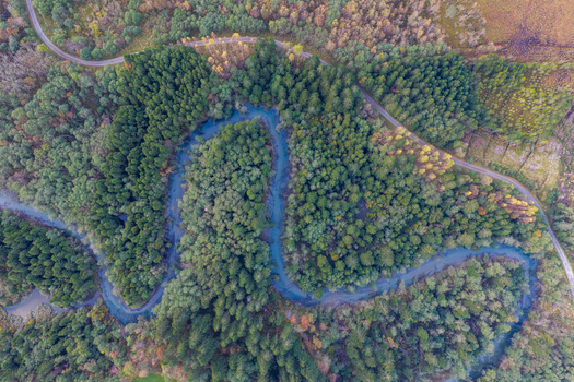 Aerial view of a winding river flowing through a dense forest with autumn foliage and a road passing through the landscape in Andalsnes More og Romsdal Norway.