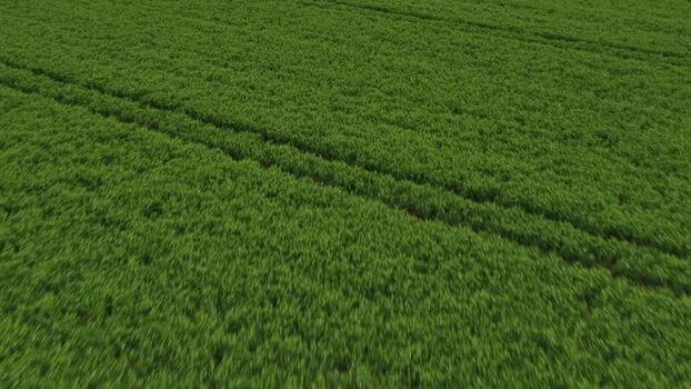 Aerial view of lush green agricultural field Portugal.