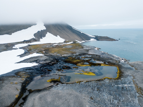 Svalbard and Jan Mayen 28 July 2025 Aerial view of the rugged arctic landscape with snow patches a small mossy pond and a mountain peak shrouded in low clouds. Svalbard and Jan Mayen 28 July 2025 Aerial view of the rugged arctic landscape with snow patches a small mossy pond and a mountain peak shrouded in low clouds.