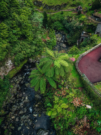 Aerial view of a vibrant lush landscape where emerald foliage meets the rugged terrain of Achada with a glimpse of a red paved area Achada Açores Portugal. Aerial view of a vibrant lush landscape where emerald foliage meets the rugged terrain of Achada with a glimpse of a red paved area Achada Açores Portugal.