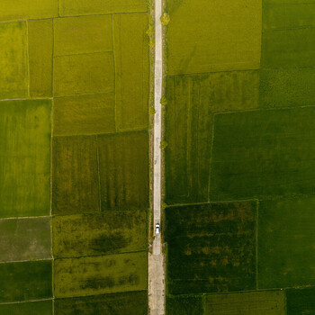 Aerial view of Lak Lake surrounded by vibrant green rice fields with a narrow road running through the landscape in Lien Son Lak Dak Lak Vietnam. Aerial view of Lak Lake surrounded by vibrant green rice fields with a narrow road running through the landscape in Lien Son Lak Dak Lak Vietnam.