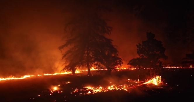 Aerial view of a forest fire burning through trees at night with intense flames and glowing embers illuminating the dark landscape in Thailand. Aerial view of a forest fire burning through trees at night with intense flames and glowing embers illuminating the dark landscape in Thailand.