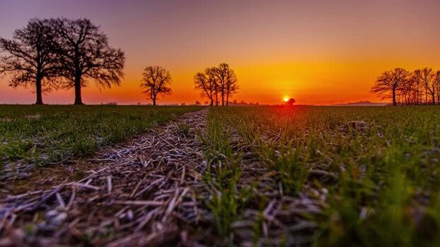 View of sunset over a field in Latvia.