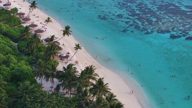 Aerial view of tropical beach with palm trees and turquoise water Maldives. Aerial view of tropical beach with palm trees and turquoise water Maldives.