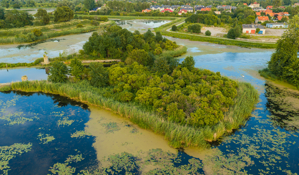 Aerial view of a lush green island surrounded by reeds in a calm pond with residential houses in the background in Gdansk Pomeranian Voivodeship Poland. Aerial view of a lush green island surrounded by reeds in a calm pond with residential houses in the background in Gdansk Pomeranian Voivodeship Poland.