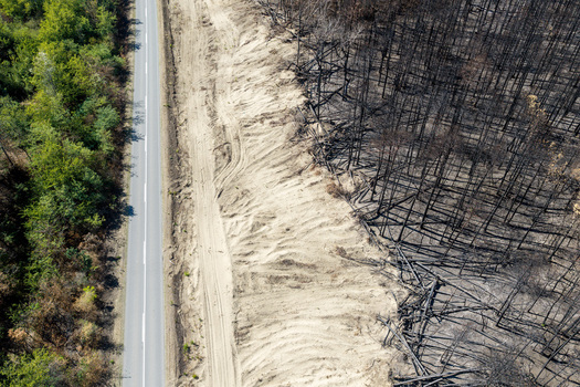 Aerial view of the Deliblato Sands wildfire aftermath showing a road separating lush green forest from a scorched blackened landscape of burnt trees in Dubovac Vojvodina Serbia.