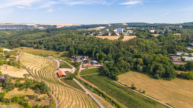 Aerial view of vineyards in the Moselle valley near Trier featuring rolling hills green forests and rural farm buildings in Trier Rhineland Palatinate Germany. Aerial view of vineyards in the Moselle valley near Trier featuring rolling hills green forests and rural farm buildings in Trier Rhineland Palatinate Germany.