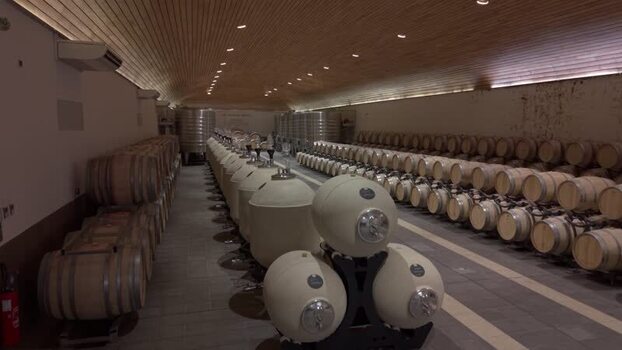 View of a winery storage cellar France.