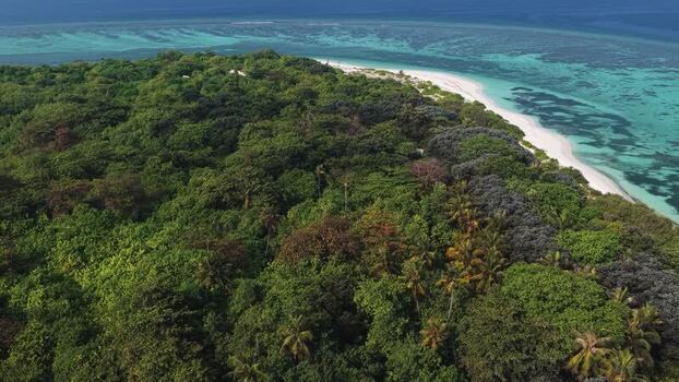 Aerial view of tropical island in Vaikaradhoo Maldives.