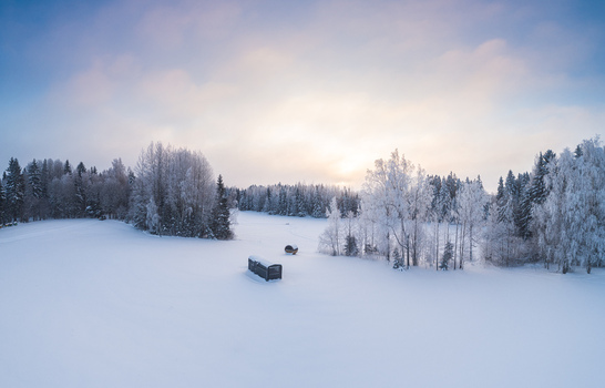 Aerial view of a snow covered field with frost covered trees and a small wooden structure under a soft winter sky in Latvia. Aerial view of a snow covered field with frost covered trees and a small wooden structure under a soft winter sky in Latvia.