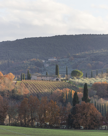 View of a traditional stone villa nestled among vineyards and cypress trees on the rolling hills of Monteriggioni Tuscany Italy. View of a traditional stone villa nestled among vineyards and cypress trees on the rolling hills of Monteriggioni Tuscany Italy.