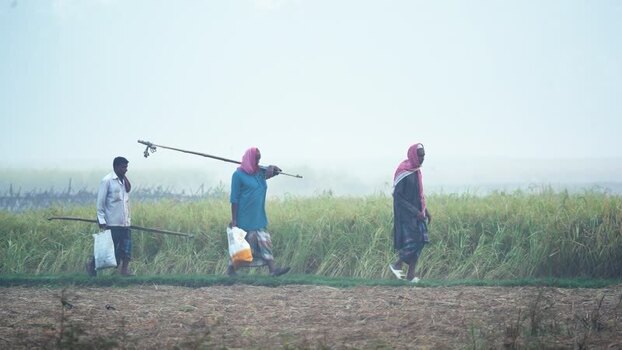 View of farmers walking past a green field in the mist Bangladesh.