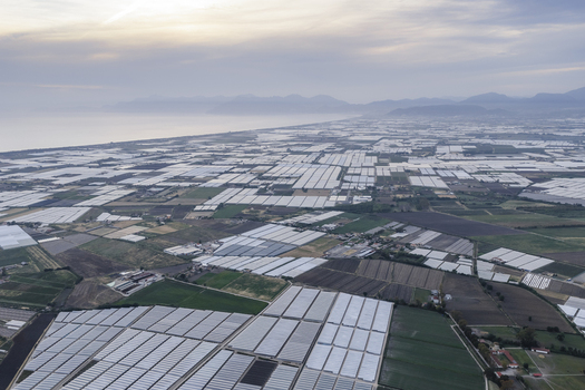 Aerial view of vast agricultural greenhouses and cultivated fields stretching towards the Tyrrhenian Sea under a soft sunset sky Paestum Campania Italy.