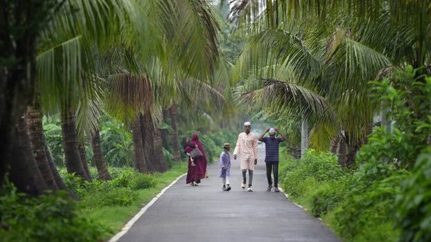 View of people walking on a palm lined road in Bogura Bangladesh. View of people walking on a palm lined road in Bogura Bangladesh.