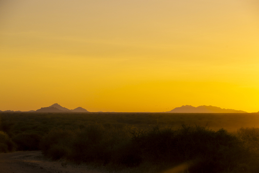 View of the vast savannah landscape at sunset with distant mountain silhouettes and dark bushes under a golden sky in Sololo Marsabit County Kenya.
