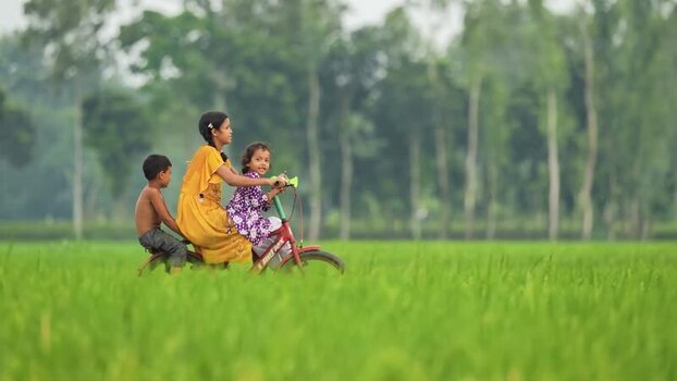View of children riding a bicycle in a rice field Bangladesh.