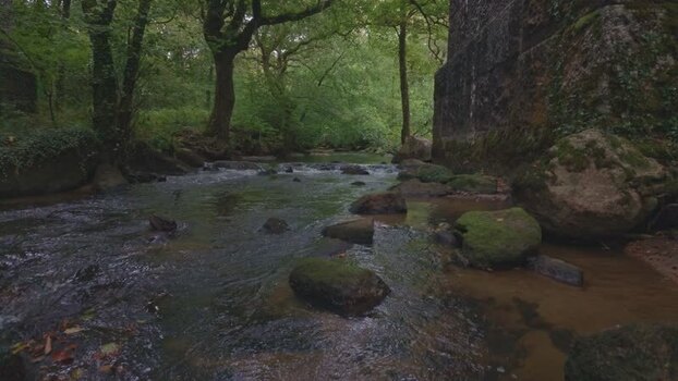 View of the river Par in Luxulyan Valley United Kingdom. View of the river Par in Luxulyan Valley United Kingdom.