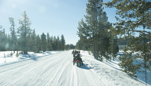 View of a group of people riding snowmobiles on a groomed snow trail through a pine forest in Yellowstone National Park Wyoming United States. View of a group of people riding snowmobiles on a groomed snow trail through a pine forest in Yellowstone National Park Wyoming United States.
