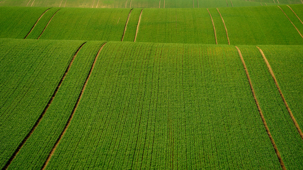 View of rolling green fields with rhythmic tractor tracks across the landscape in Moravia Brno City District South Moravian Region Czechia.