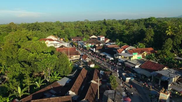Aerial view of a village road and lush tropical forest Indonesia.