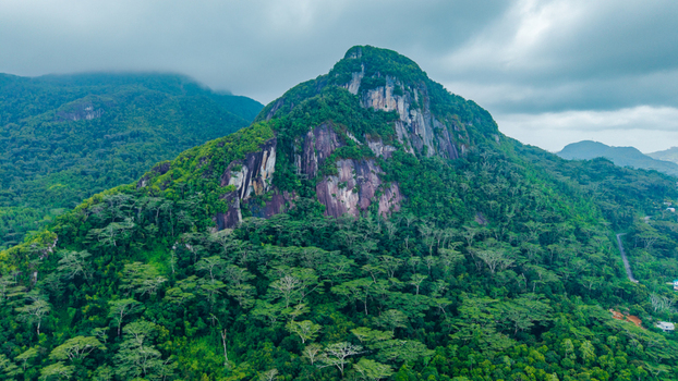 Aerial view of the lush green mountain with rocky cliffs and dense tropical forest under a cloudy sky Cap Ternay Port Glaud Seychelles. Aerial view of the lush green mountain with rocky cliffs and dense tropical forest under a cloudy sky Cap Ternay Port Glaud Seychelles.