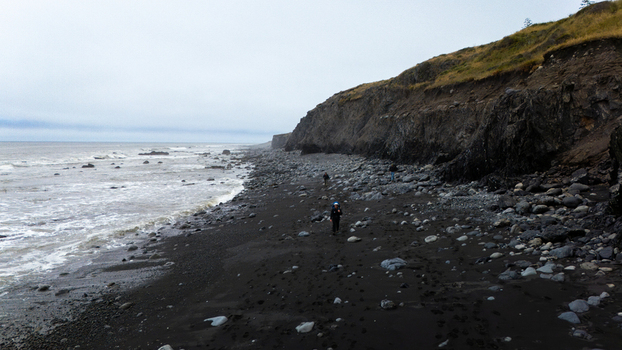 Aerial view of hikers walking along the black sand beach of the Lost Coast with steep cliffs and the Pacific Ocean in Humboldt County California United States.