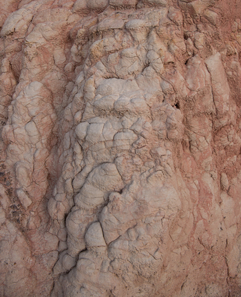 View of Paint Mines Interpretive Park showing intricate clay rock formations with pink and white textures under soft light Calhan Colorado United States.