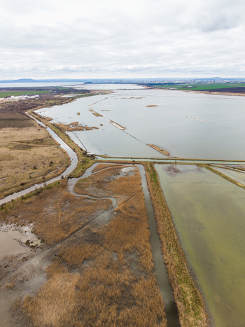 Aerial view of Lake Atanasovsko featuring salt pans and narrow water channels surrounded by dry reeds with the city skyline under a cloudy sky in Burgas Burgas Bulgaria. Aerial view of Lake Atanasovsko featuring salt pans and narrow water channels surrounded by dry reeds with the city skyline under a cloudy sky in Burgas Burgas Bulgaria.