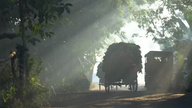 View of a rural road with sun rays and local transport Bangladesh. View of a rural road with sun rays and local transport Bangladesh.