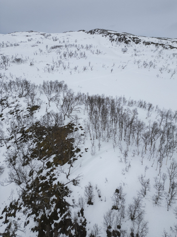 Aerial view of a snow covered mountain slope with sparse birch trees and dark rocky outcrops under a grey overcast sky Kvaloya Troms Norway. Aerial view of a snow covered mountain slope with sparse birch trees and dark rocky outcrops under a grey overcast sky Kvaloya Troms Norway.