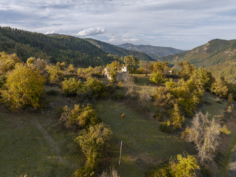 Aerial view of the historic ruins of Dyadovtsi village nestled among autumn trees and rolling hills in the rural landscape of Dyadovtsi Kardzhali Province Bulgaria. Aerial view of the historic ruins of Dyadovtsi village nestled among autumn trees and rolling hills in the rural landscape of Dyadovtsi Kardzhali Province Bulgaria.