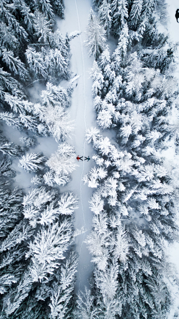 Aerial view of a snowy path cutting through a dense forest the trees heavily laden with snow creating a serene winter landscape Anniviers Valais Switzerland.