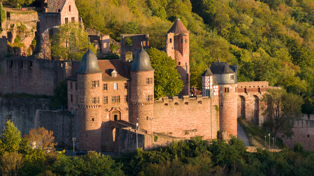 Aerial view of Wertheim Castle with its historic stone walls towers and half timbered architecture surrounded by lush green forest in Wertheim Baden Wurttemberg Germany.