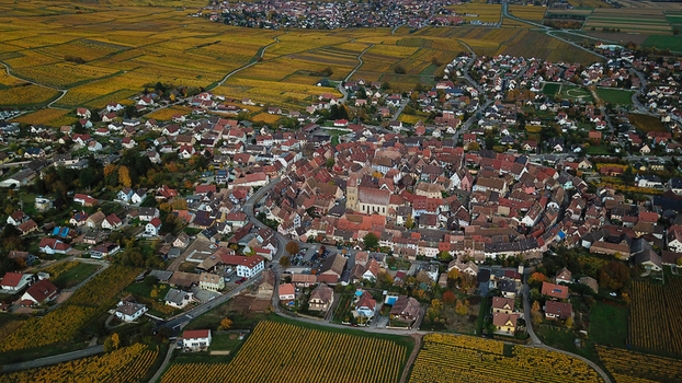 Aerial view of the historic village of Eguisheim with concentric circular streets colorful half timbered houses and surrounding golden autumn vineyards Eguisheim Grand Est France.