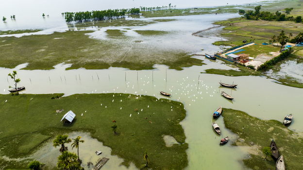 Aerial view of wooden boats navigating through the wetlands and lush green marshland with scattered trees and white birds in Patharghata Barisal Division Bangladesh. Aerial view of wooden boats navigating through the wetlands and lush green marshland with scattered trees and white birds in Patharghata Barisal Division Bangladesh.