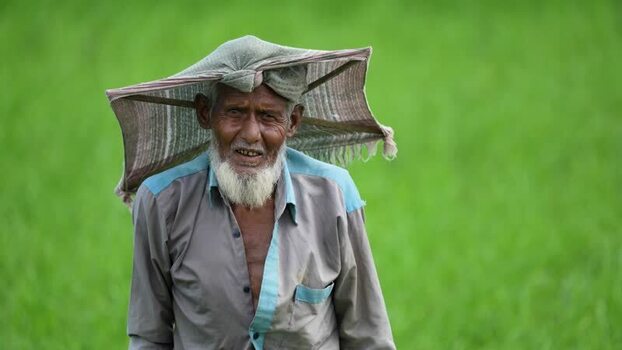 View of an elderly farmer in a green field Bangladesh. View of an elderly farmer in a green field Bangladesh.
